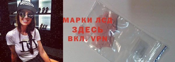 твердый Ельня