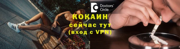 твердый Ельня