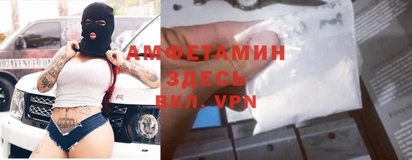 твердый Ельня