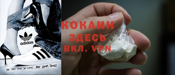 стаф Дмитровск