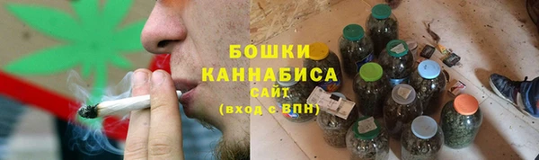крисы Елабуга