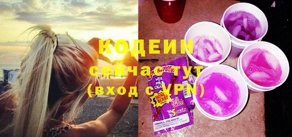 крисы Елабуга