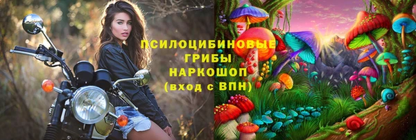твердый Ельня