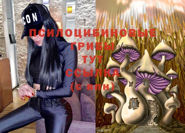 твердый Ельня