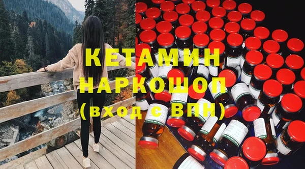 крисы Елабуга