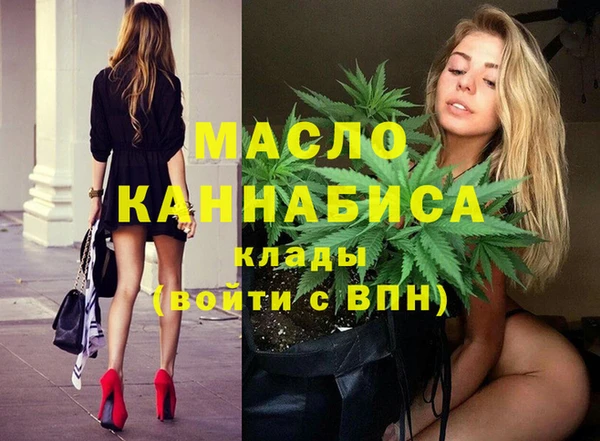 крисы Елабуга