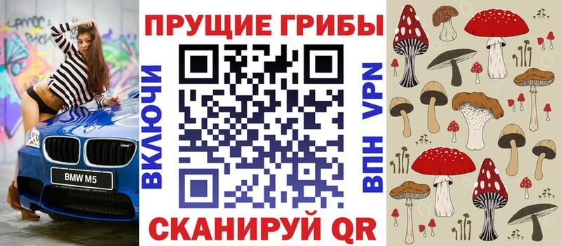 Псилоцибиновые грибы прущие грибы  Зерноград 
