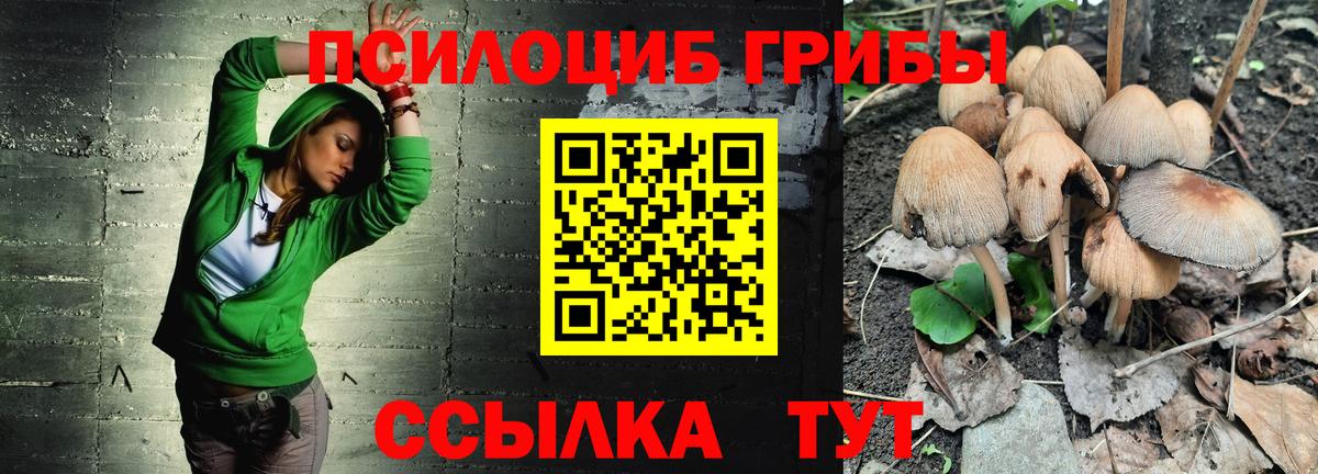 Галлюциногенные грибы Cubensis  Вход с VPN  Псилоцибиновые грибы Psilocybe  Зерноград 