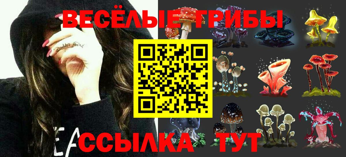 Псилоцибиновые грибы Psilocybe Зерноград